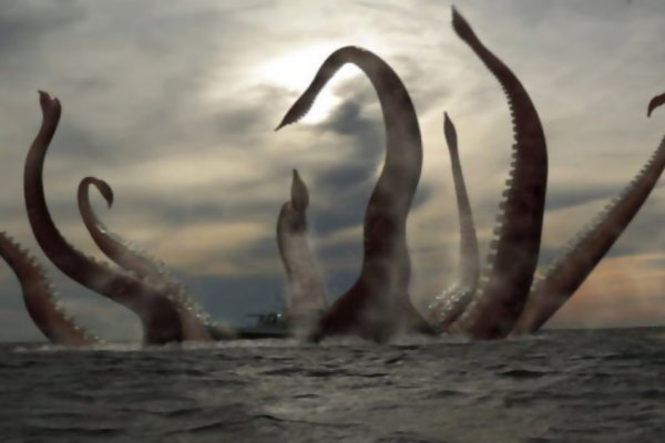 Kraken даркнет переходник