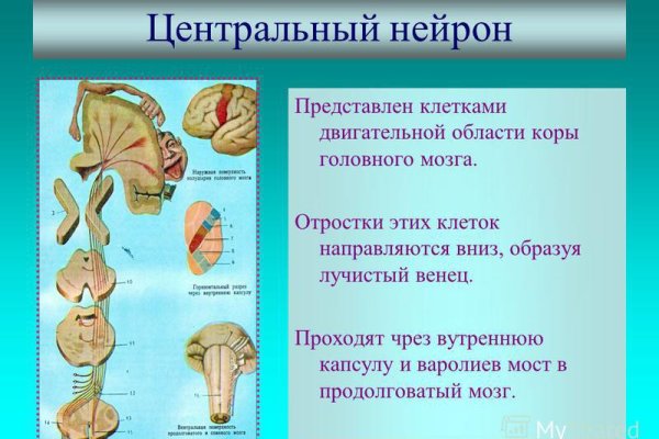 Линк кракена