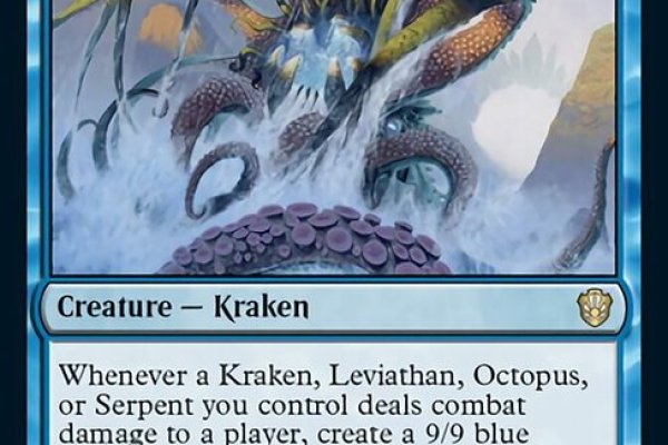 Kraken 24 top